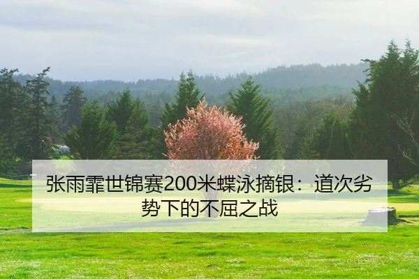 张雨霏世锦赛200米蝶泳摘银：道次劣势下的不屈之战